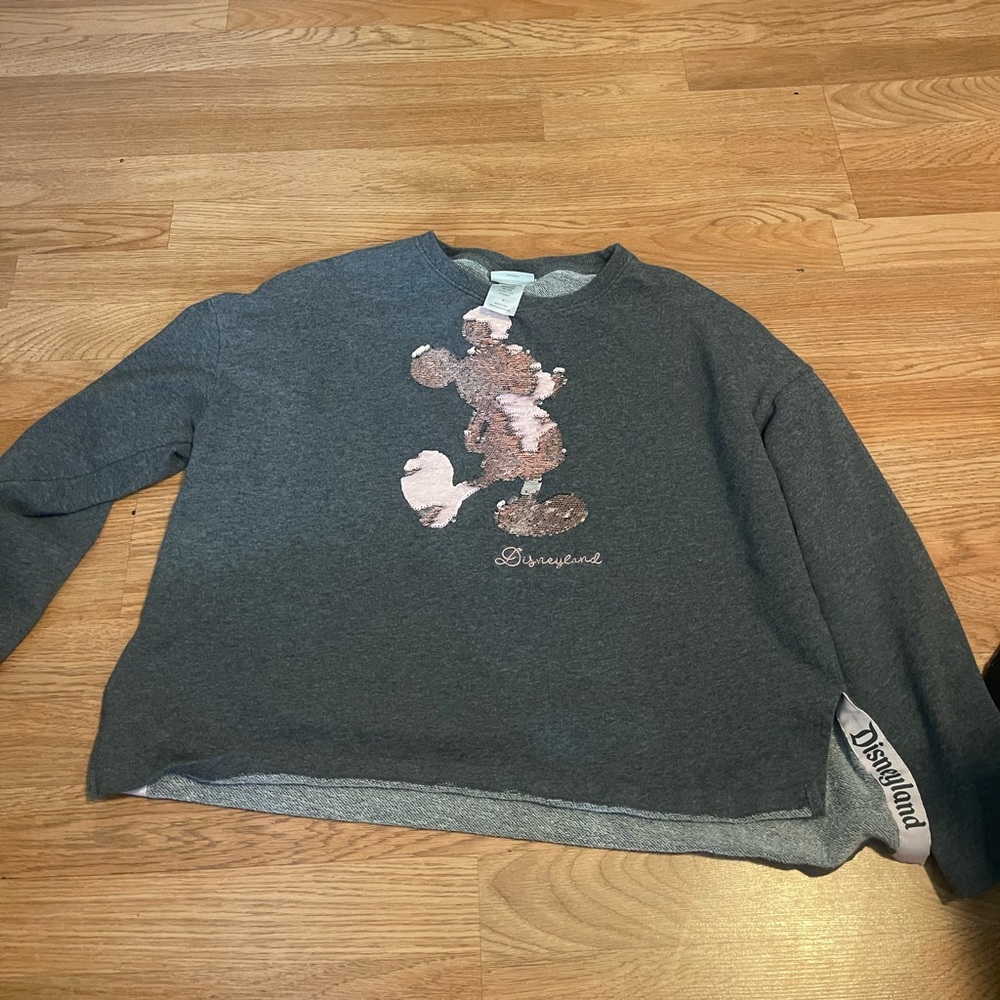 Mickey Mouse Disney land park sweater